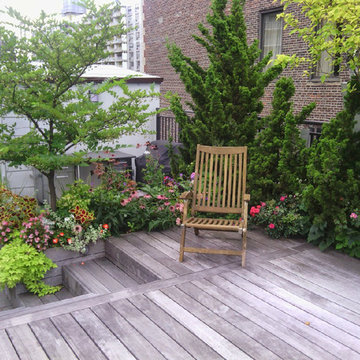 New York Plantings Rootop Garden Design nyc