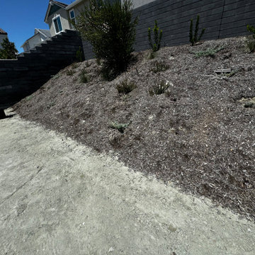 Before Picture