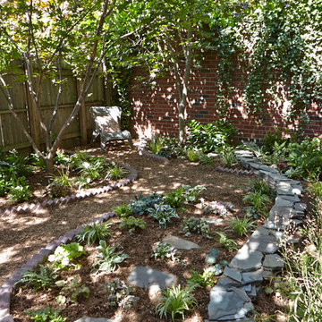 Urban Gardeners Garden
