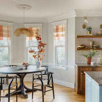 Park Ridge Victorian Revamp