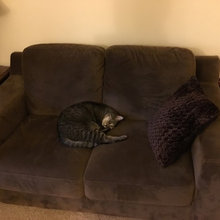 Our Furniture