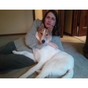 Ml Rosendale's photo