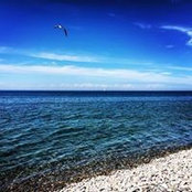 Nancy Caveny's photo