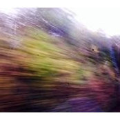 Julie Levy's photo