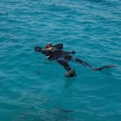 Julie Holtzlander's photo