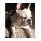 Sarah Bilgri's photo