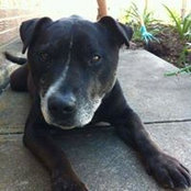 Tyson Grinham's photo