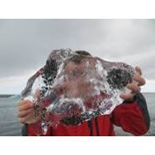 Matt Harder's photo