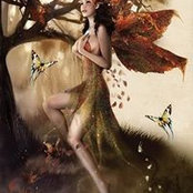 Stephanie Kelly's photo