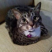 Brandi Rogers's photo