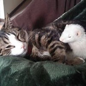 Jenny Ettinger's photo