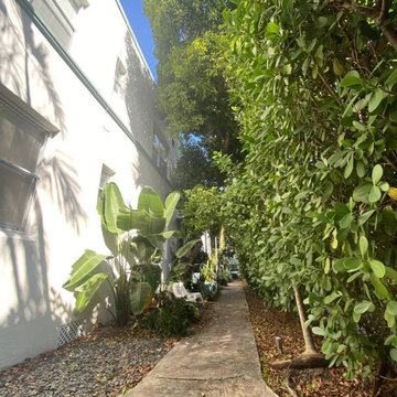 Miami Beach Landscaping Project
