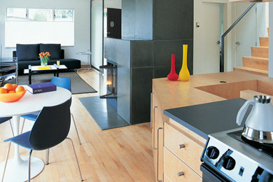 Kitchen - modern kitchen idea in Denver