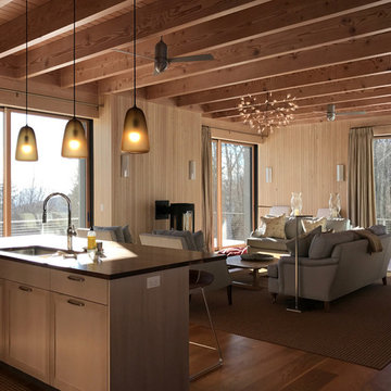 Vermont Residence by FOSTER ASSOCIATES