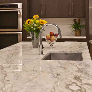 Calacatta Gold Marble Contemporary Kitchen