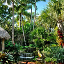 jardins aquatiques