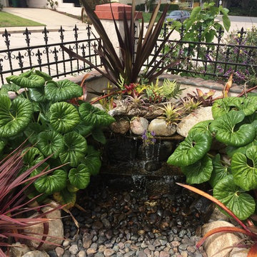 Sustainable eclectic garden