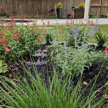 Garden Oaks Backyard Remodel