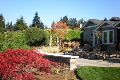 This is an example of a large traditional backyard full sun formal garden in Seattle with a vertical garden and concrete pavers.