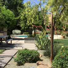 Tucson garden