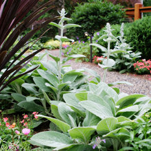 Plants and Landscaping