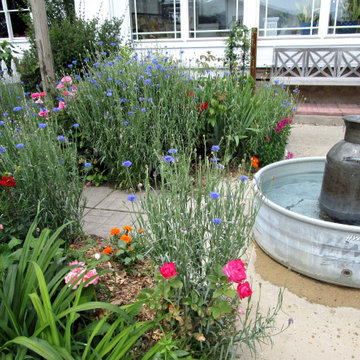 Beth's Gardens 2024