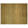 Unique Veg Dye Ivory Modern Gabbeh Hand Knotted Wool Area Rug H6309