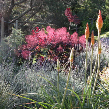 Sleepy Hollow Garden
