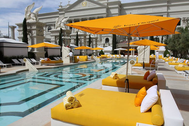 Example of a pool design in Las Vegas