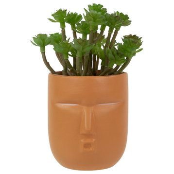 5.5" Mini Artificial Succulent, Face Planter Pot