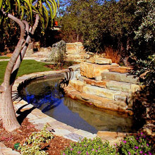 Waterfalls & Ponds