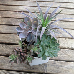 Container Design - Indoor Pots And Planters