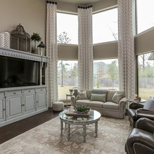 Living Room Windows