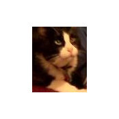 Cindy Poteet's photo