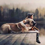 Aya Ragab's photo