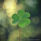 Maureen Maher's photo