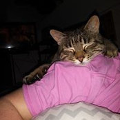 Laura Crain's photo