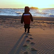 Tammy Duplessis's photo