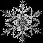 Kim Stovall's photo