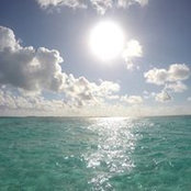 Carissa Bartolomei's photo