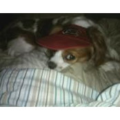 Clarice Dorsey's photo
