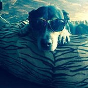 Genghis Cohen's photo