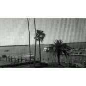 Amy Frisch's photo