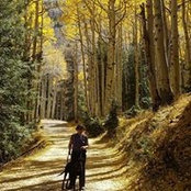 Liz Parmer's photo
