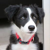 Cary Harrison's photo