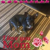 Sharlene McCarter's photo