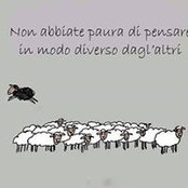 Anna Maria Bua's photo