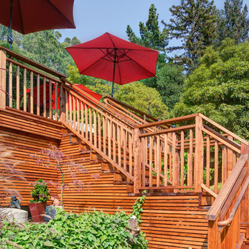Michael's deck 2016 Berkeley