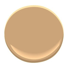 paint color