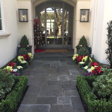 Driveways & Entry Landscape